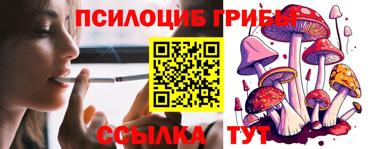 Псилоцибиновые грибы MAGIC MUSHROOMS Армавир